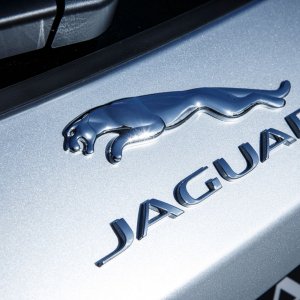 2017-Jaguar-F-Pace-badge-05.jpg