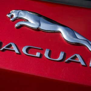 2017-Jaguar-F-Pace-First-Edition-badge-2.jpg